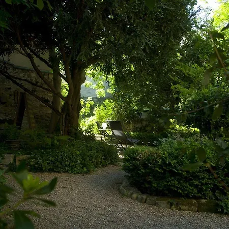Couette-café Les Blanches Provencales Selonnet