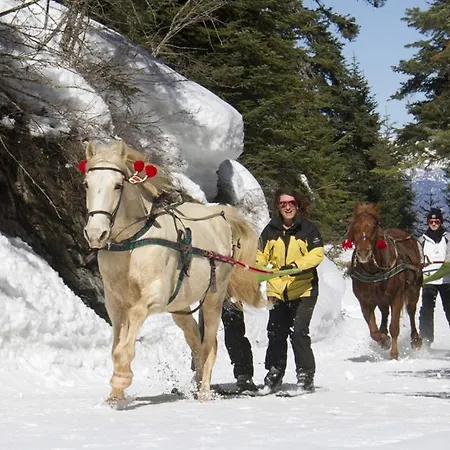 Les Blanches Provencales فندق مبيت وإفطار 3*