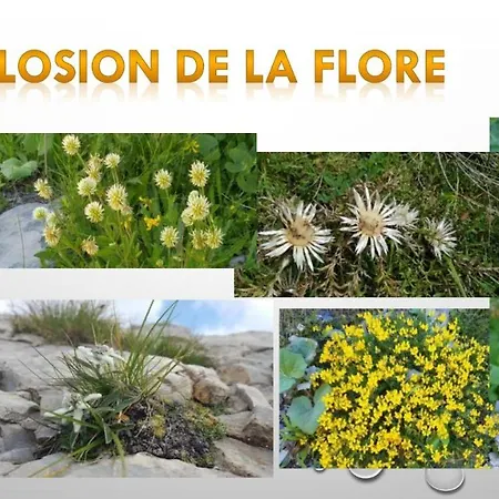 Les Blanches Provencales فندق مبيت وإفطار