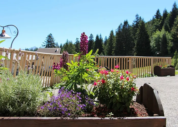 Les Blanches Provencales Bed & Breakfast