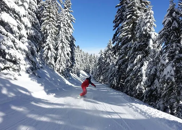 Les Blanches Provencales