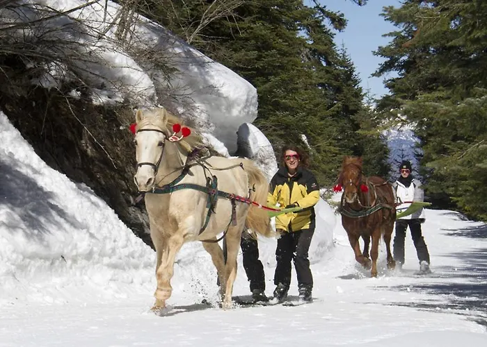 Les Blanches Provencales Bed & Breakfast 3*