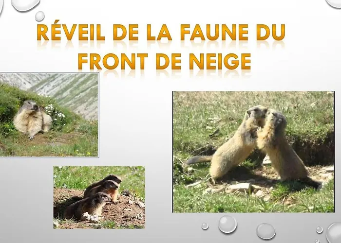 Bed & Breakfast Les Blanches Provencales Selonnet