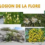 Les Blanches Provencales Bed & Breakfast