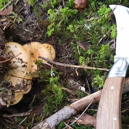 Les Blanches Provençales Couette-café 3*