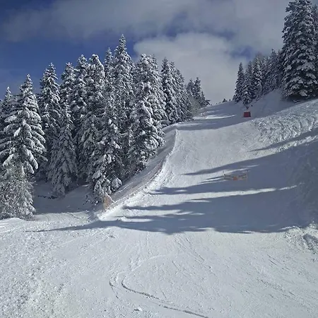 Les Blanches Provencales