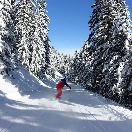 Les Blanches Provençales