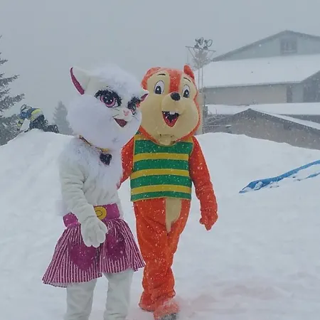 Couette-café Les Blanches Provençales