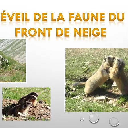 Bed & Breakfast Les Blanches Provencales Selonnet