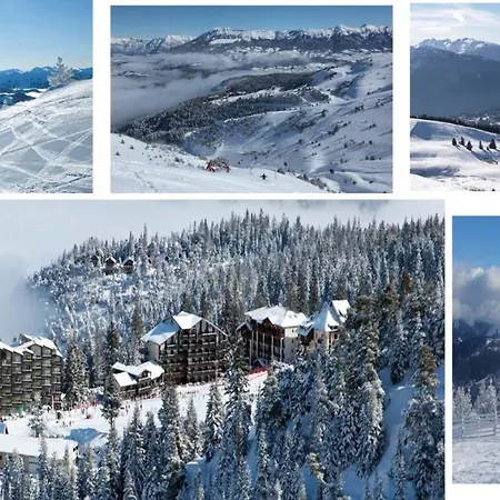 Couette-café Les Blanches Provençales Selonnet