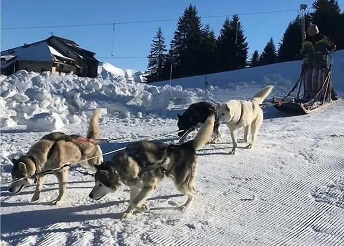 Couette-café Les Blanches Provençales Selonnet