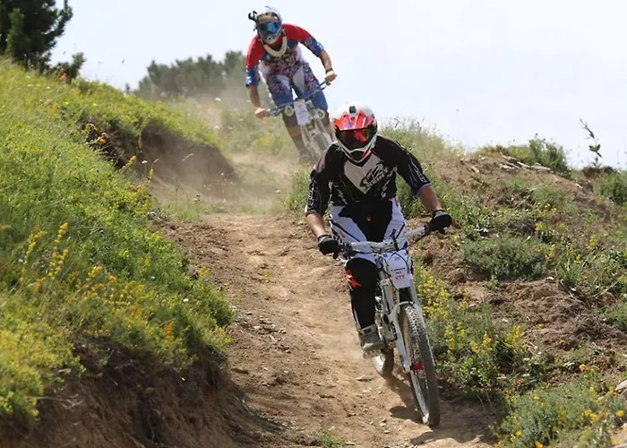 Les Blanches Provencales