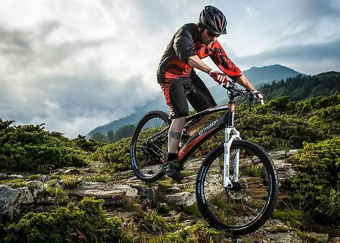 Les Blanches Provençales Couette-café