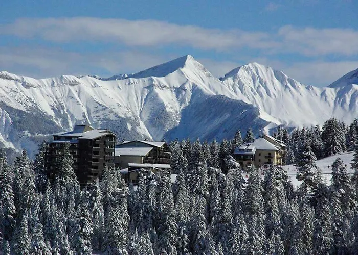 Les Blanches Provençales