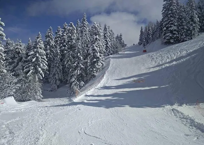 Les Blanches Provençales