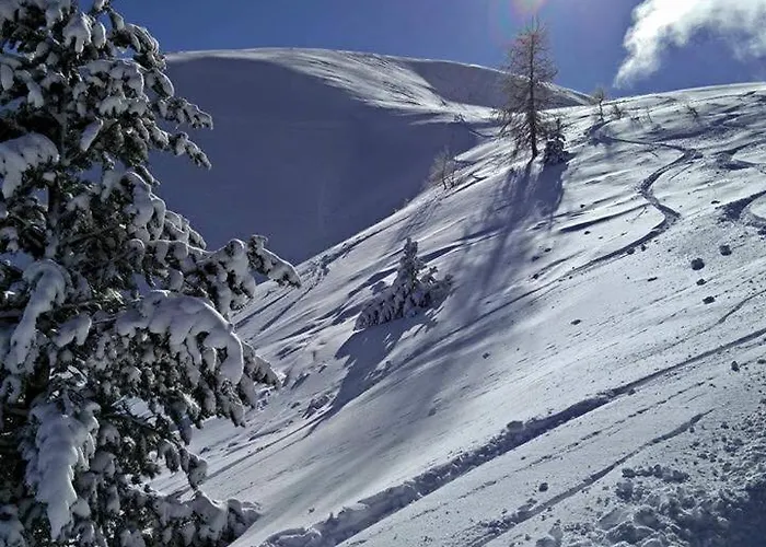 Couette-café Les Blanches Provençales Selonnet