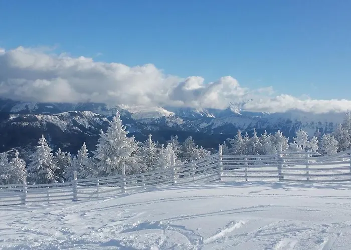 Bed and breakfast Les Blanches Provencales Selonnet