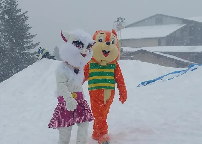 Bed and breakfast Les Blanches Provencales